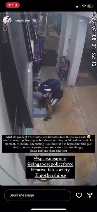 Youth caught on CCTV humping cat in Bukit Panjang, owner ...