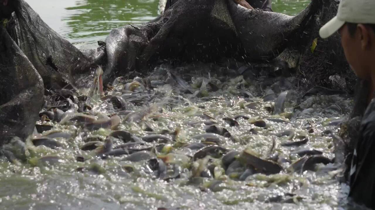 延延世代，欣欣向荣| 淡马锡年度报告2022