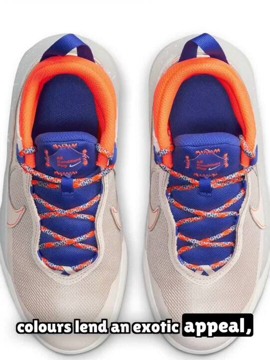 Buy Nike Team Hustle D 10 SE Older Kids' Basketball Shoe Sports