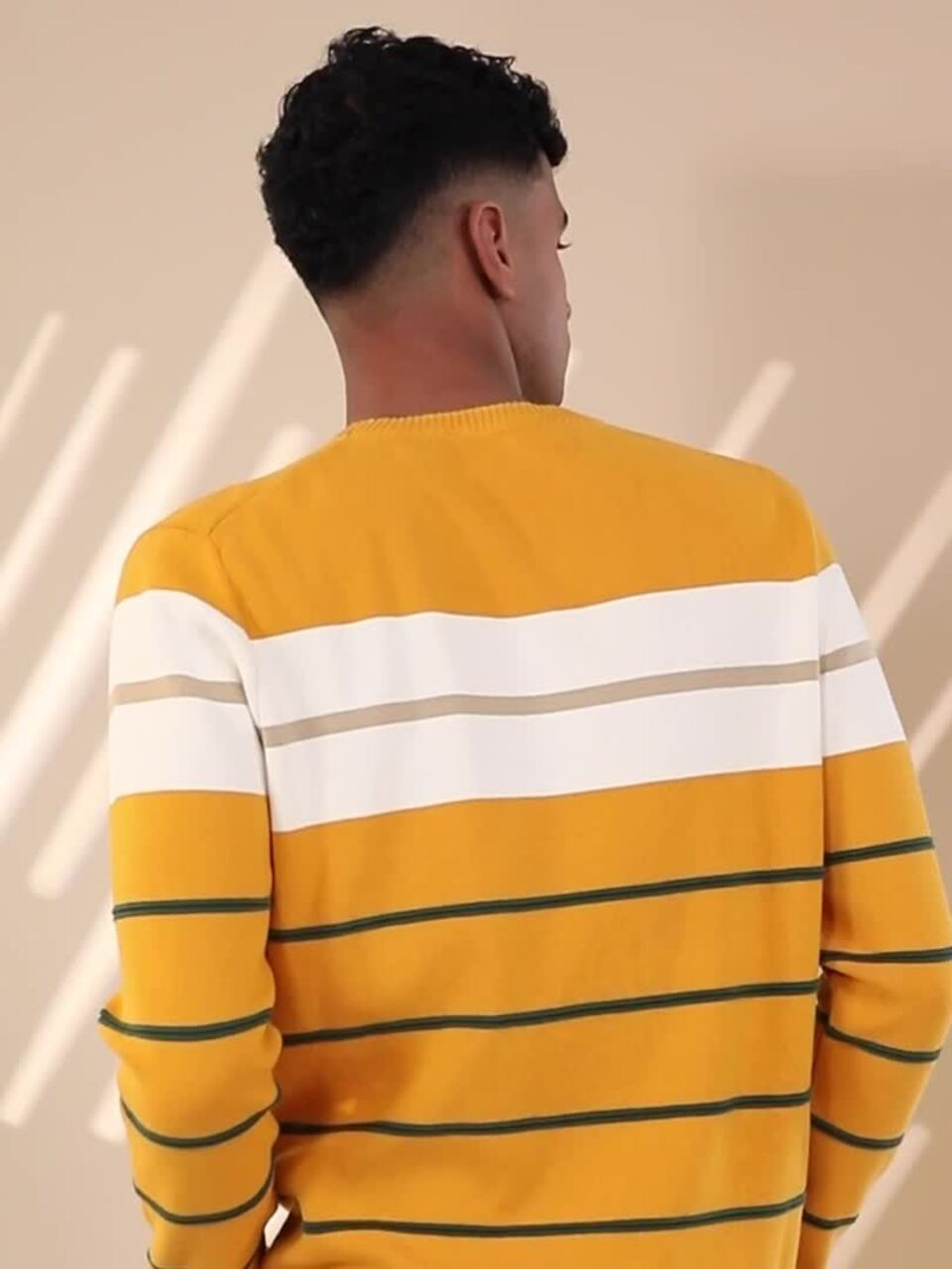 Cotton Sweatshirt Levi's Striped Sweatshirt Buy Levis Pure