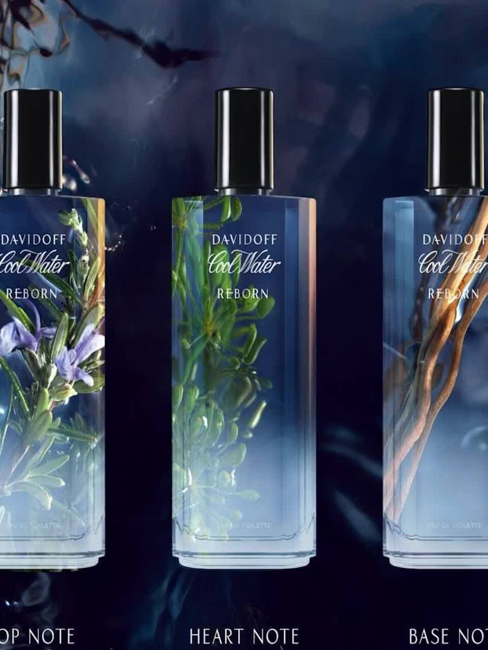 Buy DAVIDOFF Men Cool Water Reborn Eau De Toilette 125 ml