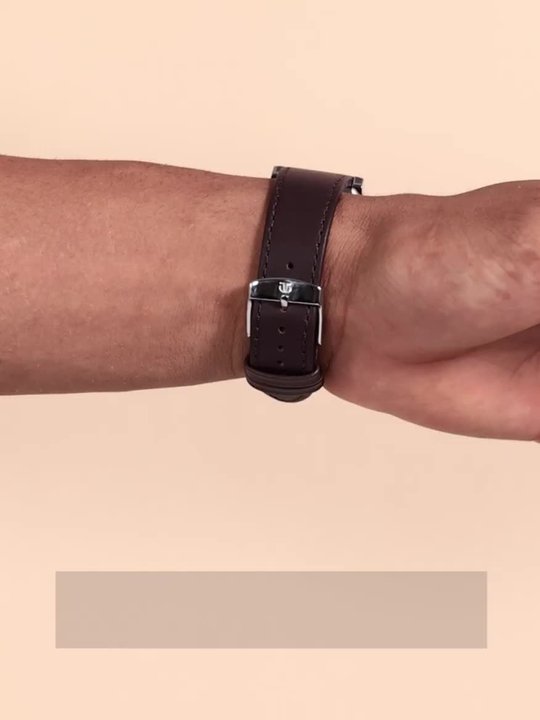 Buy Titan Karishma Zing Quartz Analog With Brown Dial Watch For