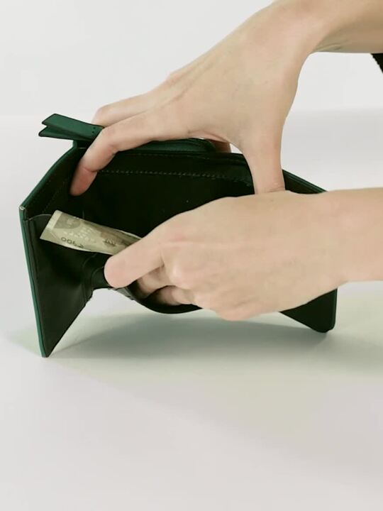 Buy Accessorize Women Green Elephant Zip Around Wallet - Wallets