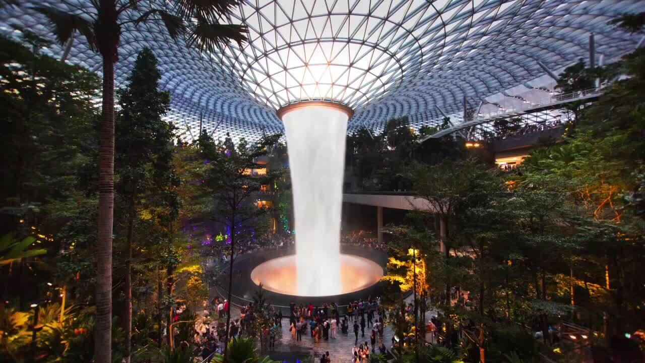 83 Download Background Zoom Hutan Images My