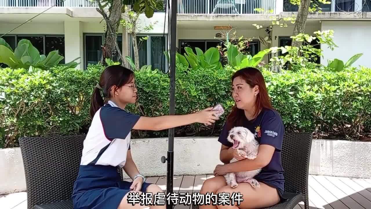 星星之火：新加坡志愿者如何守护动物权益