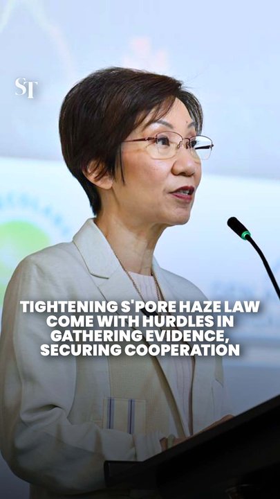 Stronger haze law will tackle Singapore’s 2 main challenges for enforcement
