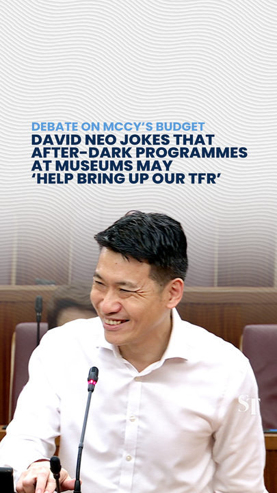 ‘Maybe this will help bring up our TFR’ - David Neo jokes about after-dark programmes at museums