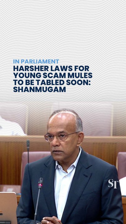 Leniency on young money mules will give scammers more incentive to hire them: Shanmugam