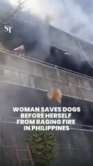 Woman hailed a hero for saving dogs before herself from fire in Philippines