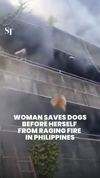 Woman hailed a hero for saving dogs before herself from fire in Philippines