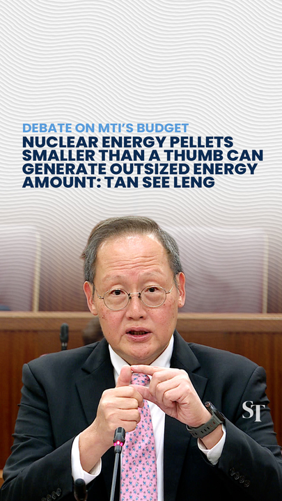Tan See Leng compares his thumb to a uranium pellet that can generate outsized energy amount