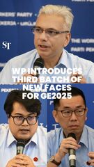 WP unveils 3 more new faces; 11 in all so far | GE2025