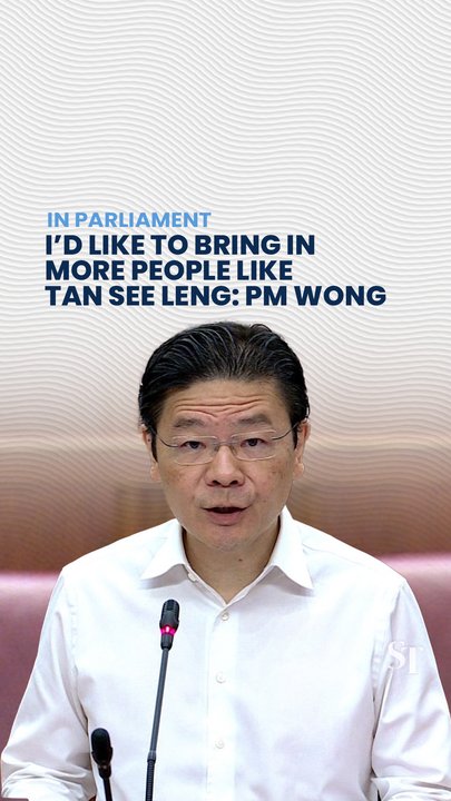 I’d like to bring in more people like Tan See Leng: PM Wong
