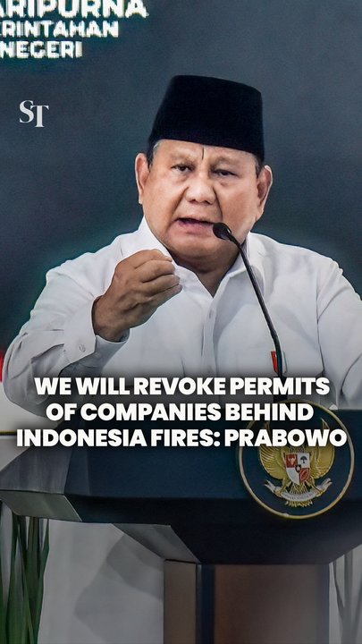 Prabowo says permits of companies behind Indonesia fires will be revoked