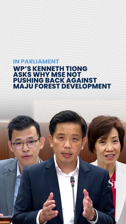 WP asks why MSE is not pushing back against Maju forest development