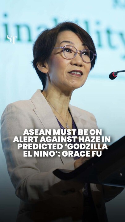 Southeast Asia must be vigilant for haze with ‘Godzilla El Nino’ forecast: Grace Fu
