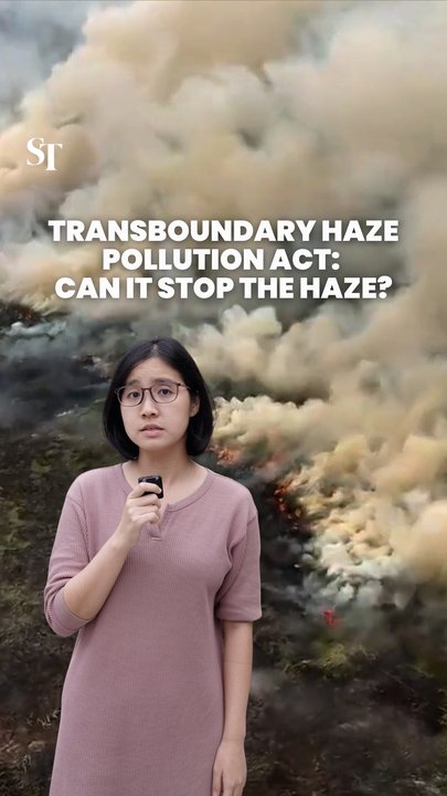 Transboundary Haze Pollution Act: Can it stop the haze?