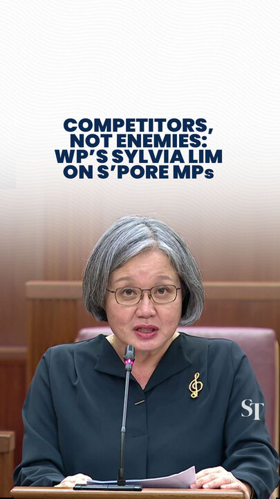 ‘Competitors but not enemies’: WP’s Sylvia Lim on Singapore MPs
