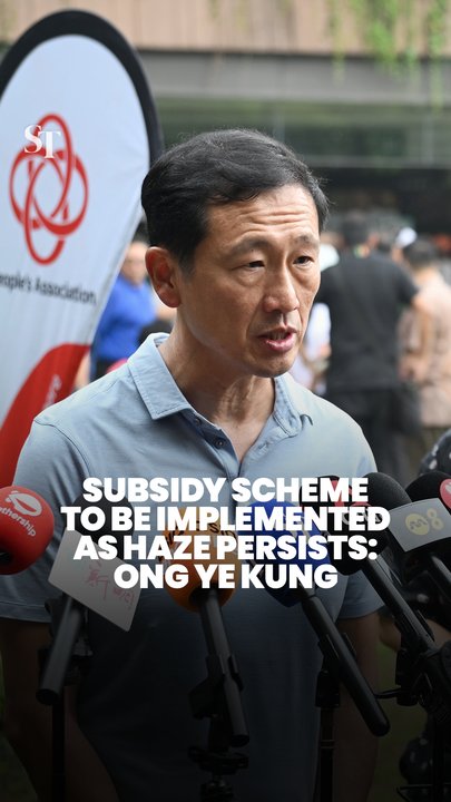 Subsidy schemes to be implemented as haze persists in Singapore: Ong Ye Kung