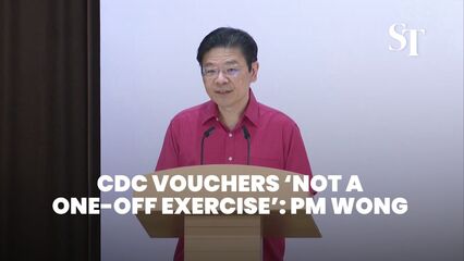 CDC vouchers 'não é um exercício único': PM Wong