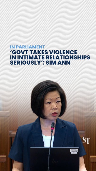 Sim Ann says the Government takes violence in intimate relationships seriously