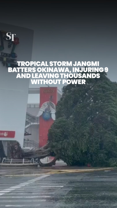 Tropical storm Jangmi battered Okinawa, Japan, nine injured.