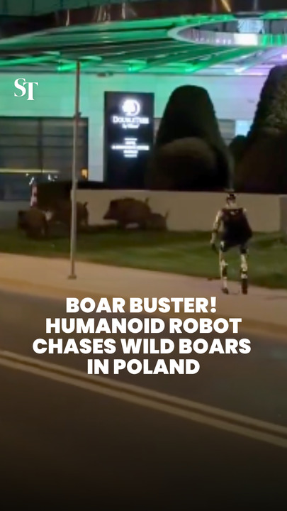 Humanoid robot chases a pack of wild boars in Warsaw, Poland