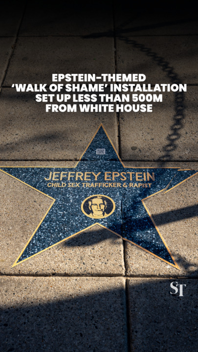 Epstein-themed ‘Walk of Shame’ installation set up less than 500m from White House