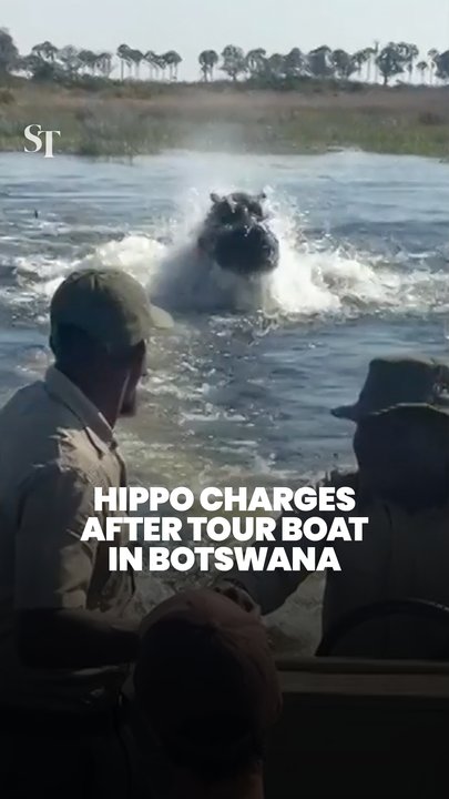 Terrifying moment tourist boat escapes charging hippo in Botswana