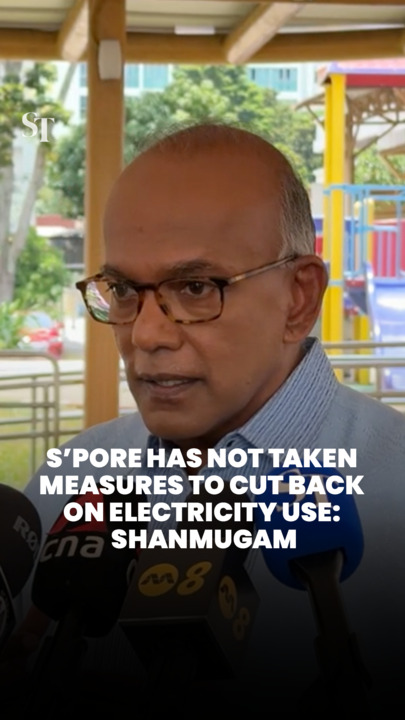 S’pore has not taken measures to cut back on electricity use: Shanmugam