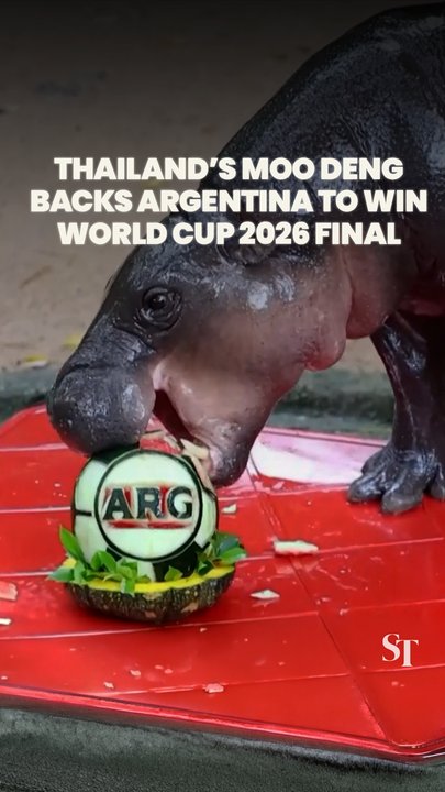 Moo Deng has spoken! Thailand’s celebrity pygmy hippo predicts Argentina  to win World Cup 