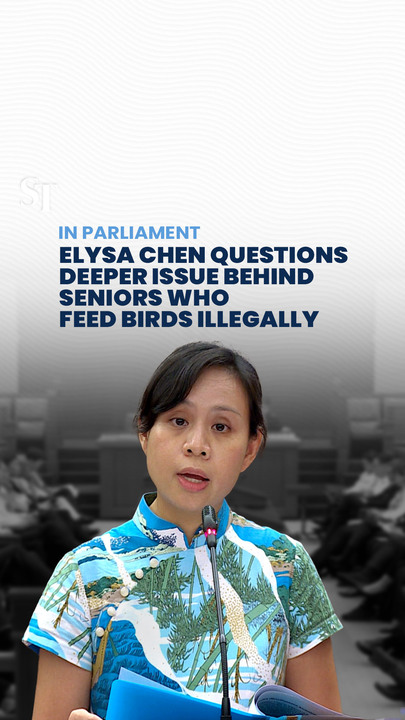 MP Elysa Chen questions deeper issue behind seniors who feed birds illegally