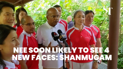 Nee Soon GRC likely to see 4 new PAP faces including former NMP Syed Harun Alhabsyi | GE2025
