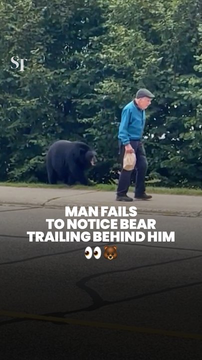 Old man fails to notice bear behind him in British Columbia, Canada