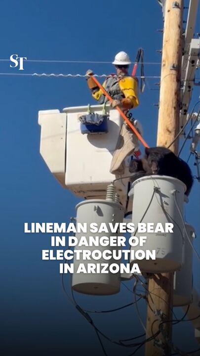 Stubborn bear in danger of electrocution coaxed down from Arizona utility pole 🐻
