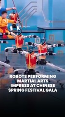 Martial arts robots impress at Chinese Spring Festival Gala 2026