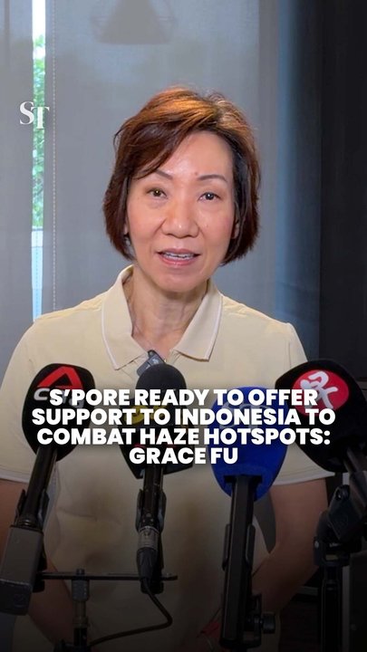 Grace Fu: Singapore ready to assist with Indonesia over haze-causing forest fires