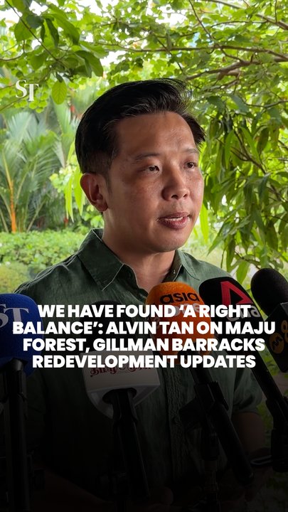 Singapore Govt has found ‘a right balance’ when redeveloping green spaces: Alvin Tan