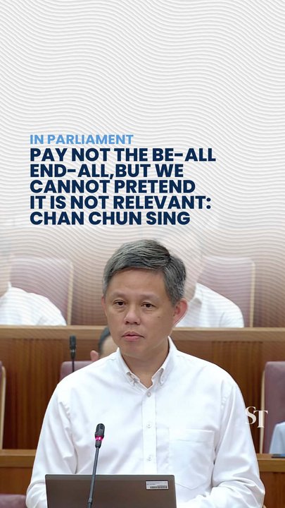 Chan Chun Sing says political salary is not the be-all end-all but will ensure a diverse team 
