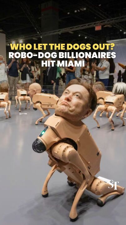 Who let the dogs out? Robo-dog billionaire art installation hits Miami