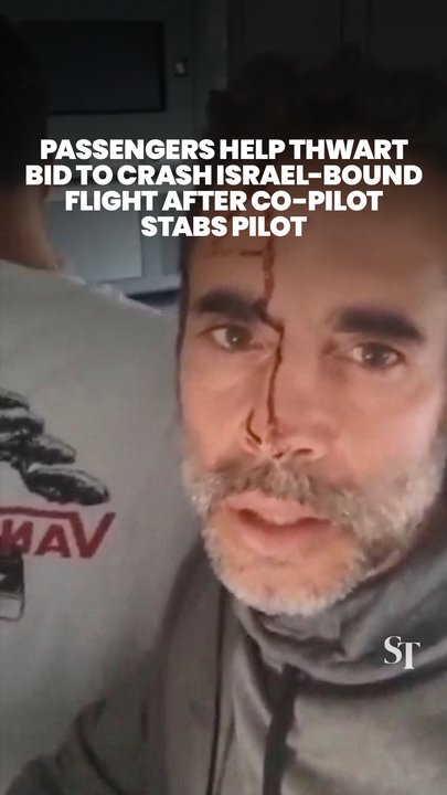 Passengers on Israel-bound flydubai flight help thwart co-pilot’s bid to crash plane