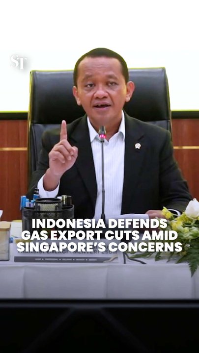 Indonesia defends gas export cuts, says it won’t be lectured on honouring contracts