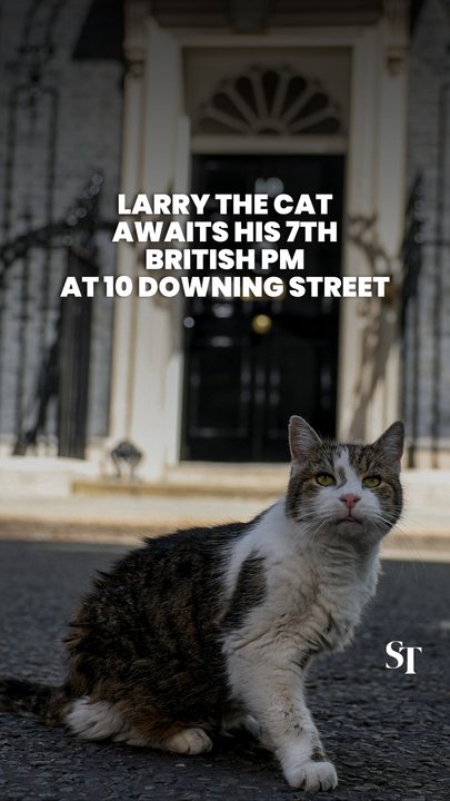 Larry the cat awaits his 7th British PM Andy Burnham outside 10 Downing Street