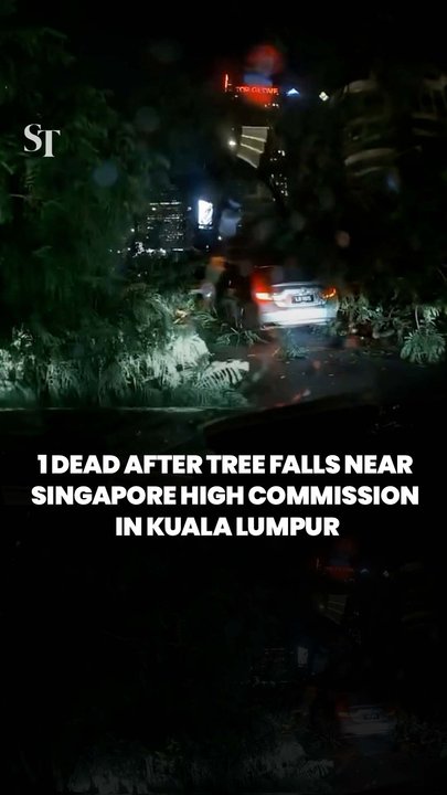 Man dies after tree falls near Singapore High Commission in Kuala Lumpur