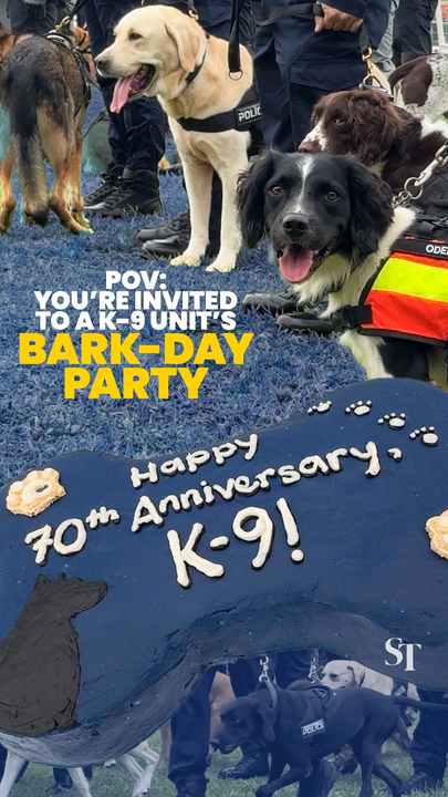 Singapore’s Police K-9 (canine) unit celebrates 70 years with a birthday party
