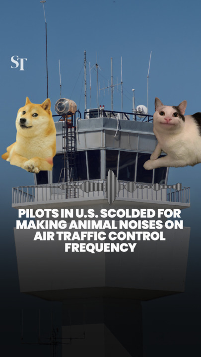 'Meow, meow': Pilots in US scolded after animal noises heard on air traffic control frequency