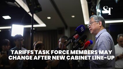 Os membros da força -tarefa das tarifas de S'pore podem mudar depois que o novo gabinete for anunciado