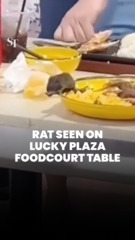Rat seen on Lucky Plaza foodcourt table; SFA investigating