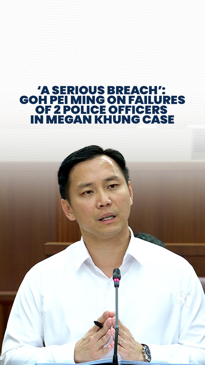 ‘A serious breach’: Goh Pei Ming on failures of 2 police officers in Megan Khung case
