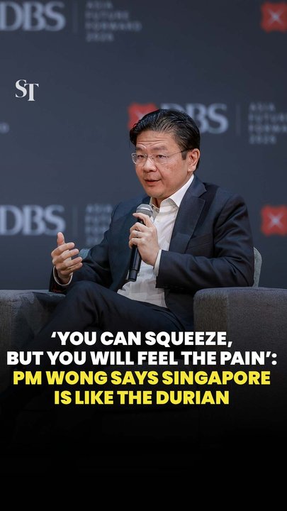 Prime Minister Lawrence Wong on how Singapore is like a durian.